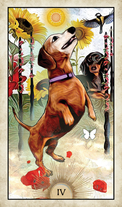 Wise Dog Tarot Deck