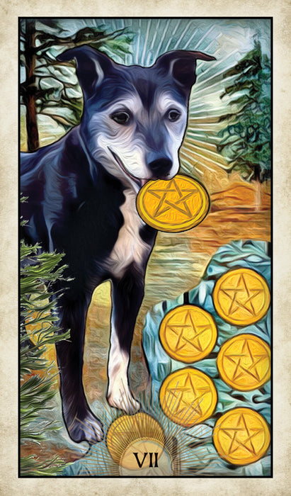 Wise Dog Tarot Deck