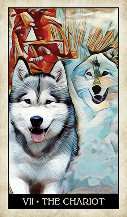 Wise Dog Tarot Deck