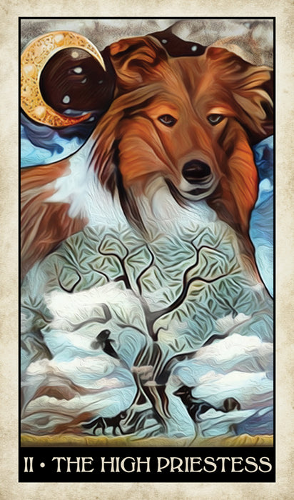 Wise Dog Tarot Deck