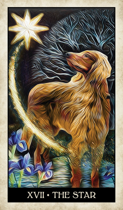 Wise Dog Tarot Deck